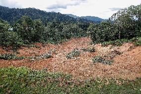 MALAYSIA-BATANG KALI-LANDSLIDE