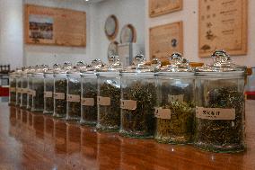 CHINA-FUJIAN-FUZHOU-JASMINE TEA-SCENTING PROCESS (CN)