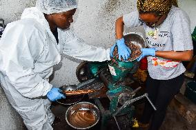 CAMEROON-SOUTH REGION-COCOA BUSINESS