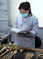 CHINA-HENAN-ZHENGZHOU-ARCHAEOLOGIST (CN)