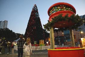 U.S.-SAN JOSE-CHRISTMAS-DECORATION