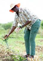 BOTSWANA-FARMER-SAFFLOWER