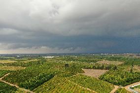 ISRAEL-NETANYA-FARM