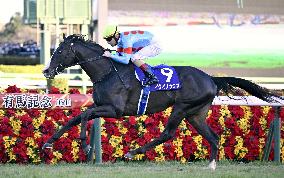 Horse racing: Equinox wins Arima Kinen for 2nd G1 title