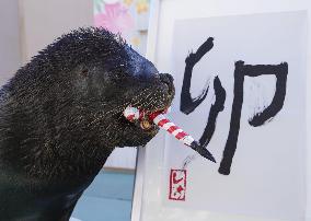 Sea lion writes kanji for new year
