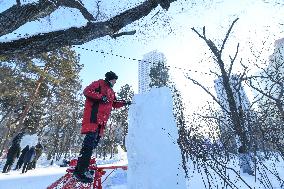 CHINA-HEILONGJIANG-HARBIN-ICE SCULPTURE-COLLEGE STUDENTS-COMPETITION (CN)