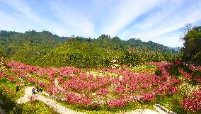 CHINA-HUNAN-VILLAGE TOURISM-RURAL REVITALIZATION (CN)