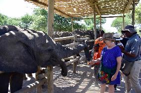 BOTSWANA-MAUN-ELEPHANT-ORPHANAGE