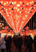 CHINA-LIAONING-SHENYANG-LANTERN SHOW (CN)