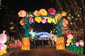 CHINA-LIAONING-SHENYANG-LANTERN SHOW (CN)