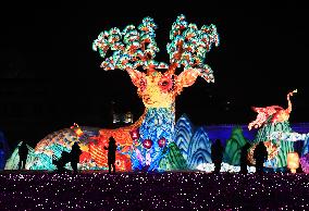 CHINA-LIAONING-SHENYANG-LANTERN SHOW (CN)