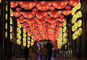 CHINA-LIAONING-SHENYANG-LANTERN SHOW (CN)