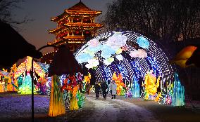 CHINA-LIAONING-SHENYANG-LANTERN SHOW (CN)