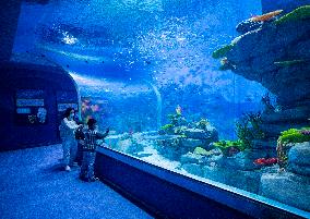 CHINA-JIUJIANG-AQUATIC ORGANISM CONSERVATION CENTER (CN)