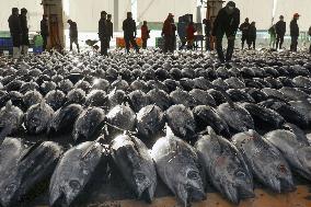 Year's first tuna auction in western Japan