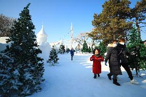 CHINA-LIAONING-SHENYANG-WINTER TOURISM (CN)