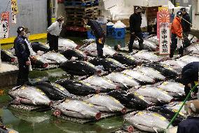 New Year tuna auction in Tokyo