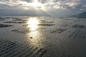 #CHINA-FUJIAN-MARINE RANCHING (CN)