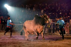 BANGKADESH-DHAKA-CATTLE-SHOW