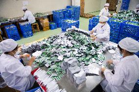 Xinhua Headlines: China spares no efforts in ensuring anti-COVID drug development, supply