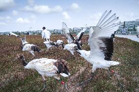 XINHUA-PICTURES OF THE YEAR 2022-CHINA NEWS