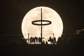 XINHUA-PICTURES OF THE YEAR 2022-WORLD NEWS