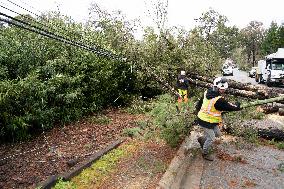 U.S.-CALIFORNIA-SAN MATEO-STORM-AFTERMATH
