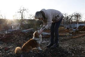 Scene in Ukraine