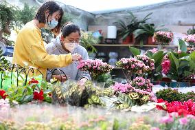 #CHINA-SPRING FESTIVAL-PREPARATION (CN)