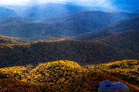 Xinhua Headlines: China aims to build world's largest national park system