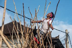 INDONESIA-BALI-MEKOTEK TRADITION-KUNINGAN DAY