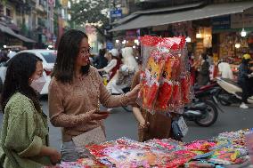 VIETNAM-HANOI-LUNAR NEW YEAR-CAT ELEMENT