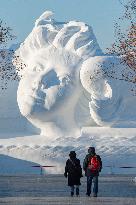 CHINA-HEILONGJIANG-HARBIN-WINTER TOURISM (CN)