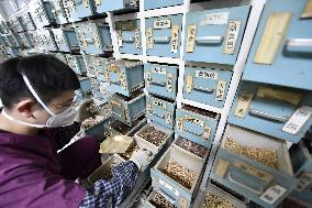 CHINA-HEBEI-TANGSHAN-TCM-TREATMENT (CN)