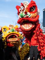 U.S.-CHICAGO-CHINESE LUNAR NEW YEAR-CELEBRATION