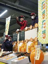 Kumquat auction in Japan