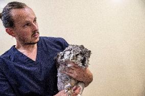 SOUTH AFRICA-JOHANNESBURG-ZOO-HEALTH CHECK