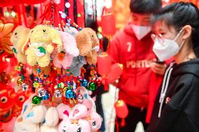 CHINA-JILIN-CHANGCHUN-SPRING FESTIVAL-MARKET (CN)