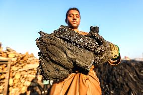 EGYPT-SHARQIA-CHARCOAL WORKERS