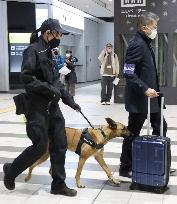 Bomb detection dog deployed ahead of G-7 summit