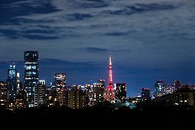 JAPAN-TOKYO TOWER-CHINESE NEW YEAR-ILLUMINATION