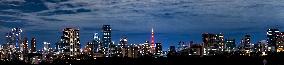 JAPAN-TOKYO TOWER-CHINESE NEW YEAR-ILLUMINATION