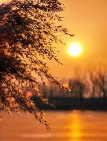 CHINA-YEAR OF THE RABBIT-SPRING FESTIVAL (CN)