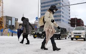 Cold snap hits Japan