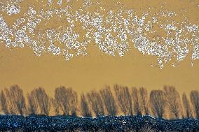 CHINA-SHANDONG-YELLOW RIVER-ICE JAM (CN)