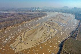 CHINA-SHANDONG-YELLOW RIVER-ICE JAM (CN)