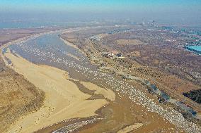 CHINA-SHANDONG-YELLOW RIVER-ICE JAM (CN)