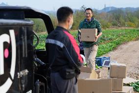 CHINA-ANHUI-FARMER-MYSTERY VEG BOX (CN)