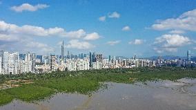 CHINA-GUANGDONG-SHENZHEN-WORLD WETLANDS DAY (CN)