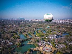 CHINA-ZHEJIANG-HANGZHOU-WORLD WETLANDS DAY (CN)